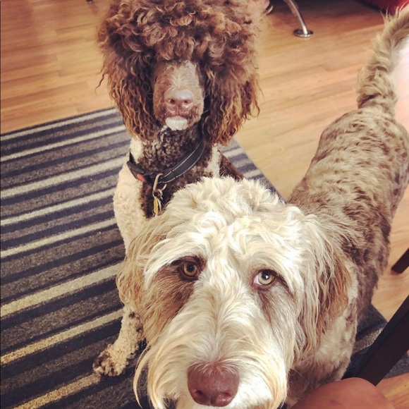 Poshmark Ambassador Sherry Berry - Picture 6 of 15